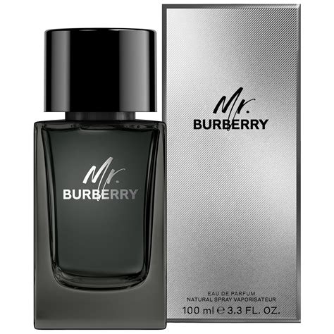 Mr. Burberry Eau de Parfum 100ml 